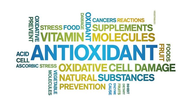 Antioxidant animated tag word cloud;text design animation kinetic typography seamless loop.