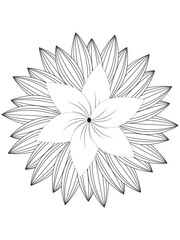 Forest flowers and leaves. Vector coloring book for adults and children. Hand-drawn illustration. Floral ornament is good for web, print, and stencil
Flowers Coloring Page 