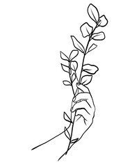 Continuous line drawing