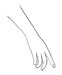 Continuous line drawing