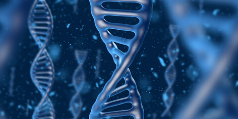 A 3D rendering of the DNA double helix