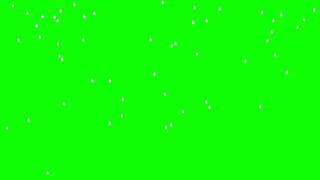 Rain Drops Falling Footage Alpha Channel. Footage Element Effect. Green Screen 4k
