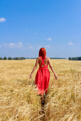 Obraz premium red-haired beautiful girl in the field