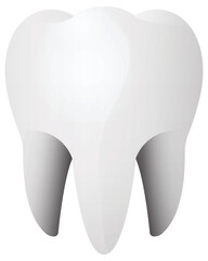 3D of human tooth isolated