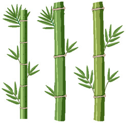 Isolated bamboos on white background