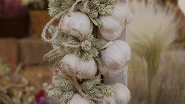 Fresh organic healthy garlic in the food market. Garlic vegetable. Beautiful choosing garlic. Close up 4K footage.