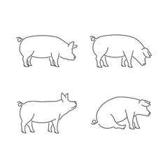 Pig pictogram linear icon vector. Vector illustration set of pig silhouette. pork linear vector icon pack. Vector illustration	