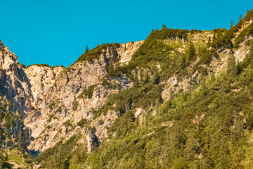 Beautiful alpine summer view at the famous Gern Alm, Achensee, Tyrol, Austria