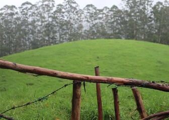 A mountain fully covered by grass at Munnar. And it's called elephant crossing point.