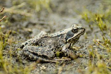 green jumper on the ground close up