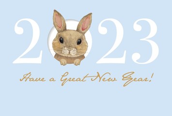 年賀状　卯年　ハガキ　おしゃれ　2023年　水彩うさぎ