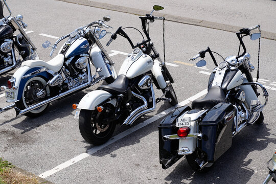 Harley Davidson bike us motorcycle biker club parked on road side