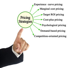  Man Presenting Seven Pricing Strategies