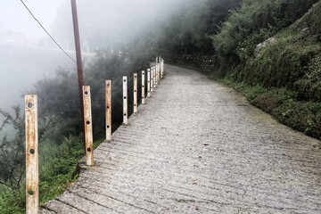 path in the fog