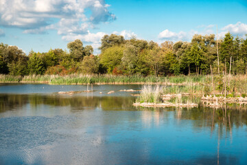 Obraz premium Biodiversity Haff Reimech, wetland and nature reserve in Luxembourg, pond surrounded by reed and trees, bird watching observation point
