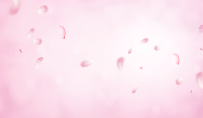 Flying Pink rose petals on romantic pink bokeh background. Sakura petals falling down. Falling...