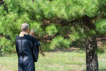 僧侶が供養している樹木葬のイメージ - obrazy, fototapety, plakaty
