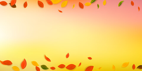 Falling autumn leaves. Red, yellow, green, brown c