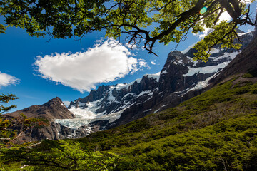 Obraz premium Glaciar del Franés nubes y arbol, verano