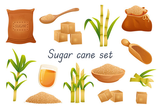 Sugar cane 3d realistic set. Bundle of bags, sugar cubes, granular sweetener on spoon or plate, sugarcane leaf plants, rum alcoholic liquid in glass and other isolated elements. Illustration