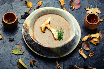 Dietetic mushroom soup