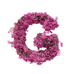3d rendering of Bougainvillea alphabet isolated