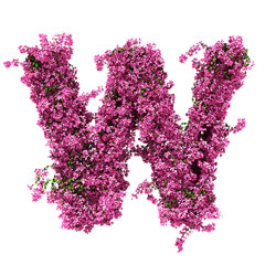 3d rendering of Bougainvillea alphabet isolated