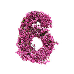 3d rendering of Bougainvillea number isolated