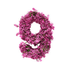 3d rendering of Bougainvillea number isolated