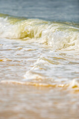 Fototapeta na wymiar wave of the golden sand beach