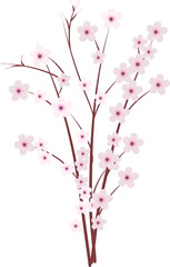 Sakura japan cherry branch with blooming flowers