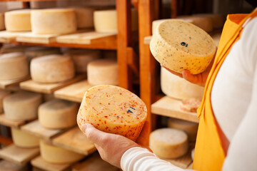 male, man cheese maker businessman, individual entrepreneur, checks cheese in cellar, basement. cheese head ripens on wooden shelves, process of producing homemade. holds in his hands
