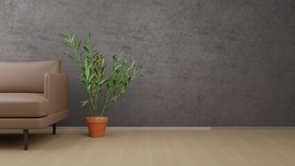 More Space Area On 3D Minimalist Living Room Interior Concept, Grey Grungy Wall Background With Green Plant On The Side