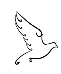 bird vector