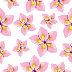 Fototapeta na wymiar Seamless pattern of plumeria flowers on a white background.Vector floral pattern can be used in textiles, wallpapers,screensavers.