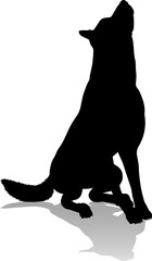 Dog Silhouette Pet Animal