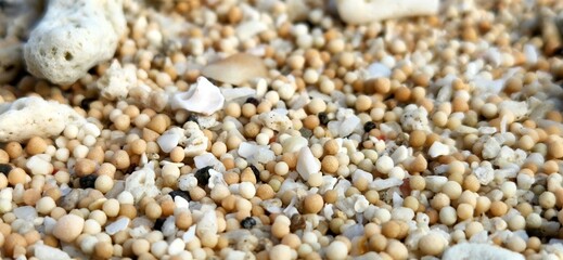 Macro shot on sandy beach with creative and beautiful layout