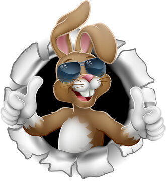 recommend clip art: Easter Bunny Thumbs Up Cool Rabbit in Sunglasses