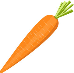 Orange carrot vegetable