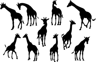 Naklejka premium Giraffe Animal Silhouettes