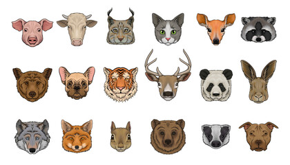 Wild and Domestic Animal Snout and Muzzle with Fur Vector Set