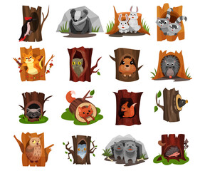Forest Animals Sitting in Tree Hollow and Burrow as Woodland Home Vector Set