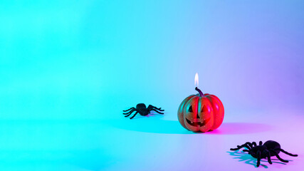 Halloween pumpkin. Black night spider, scary spooky pumpkin on night neon helloween background. Minimalistic background for autumn holidays. Space for text.