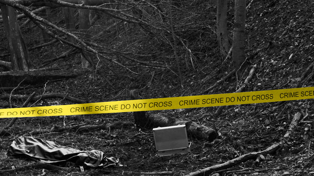Detectives are collecting evidence in a crime scene. Forensic specialists are making expertise. Police investigation in a forest. Black and white image with yellow police line.
