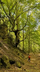 Obraz premium person in the woods