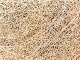 The background is beige yellow. Thread strips