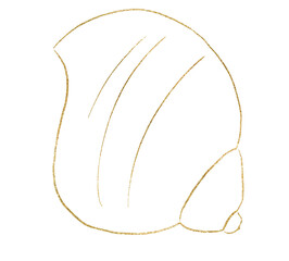 Seashell made of golden outlines, single elements for beach wedding Illustration, clipart