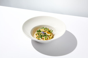 Healthy salad with squid and avocado on white plate with harsh shadows. Calamari salad with vegetables and eggs on white background with shadows of leaves. Summer food menu.