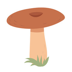 Mushroom in grass. Mushroom vector.