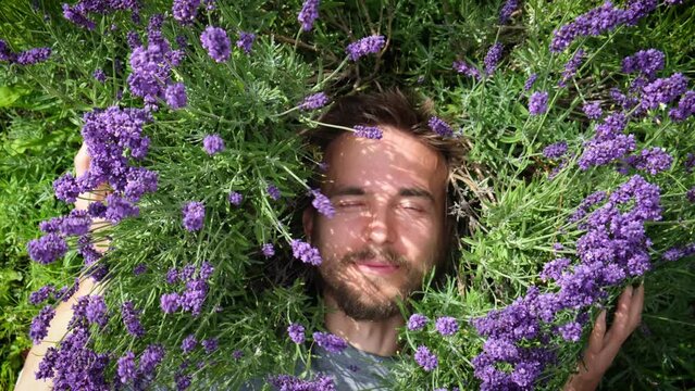 Camera move up from young handsome bearded man relax on the grass on sunny summer day surrounded by lavander flowers. Self care, mind body and soul.